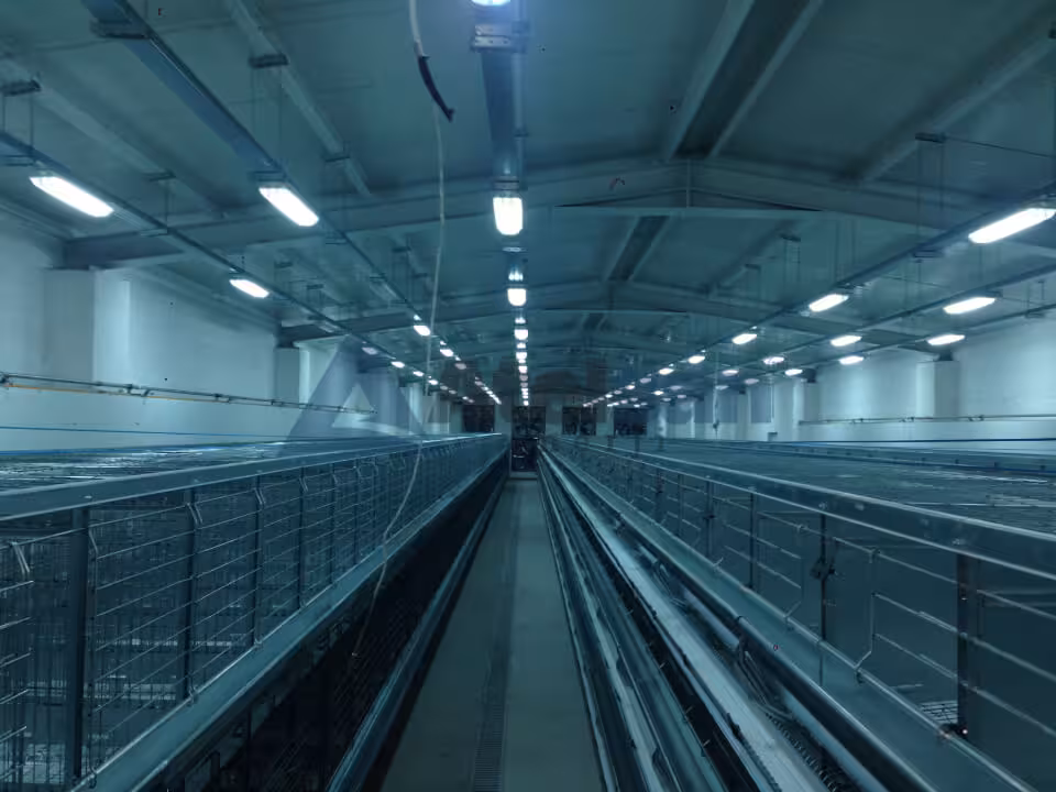 Tokat Tarımsal Araştırma Enstitüsü Tavuk Çiftliği Komple Elektrik Tesisatı